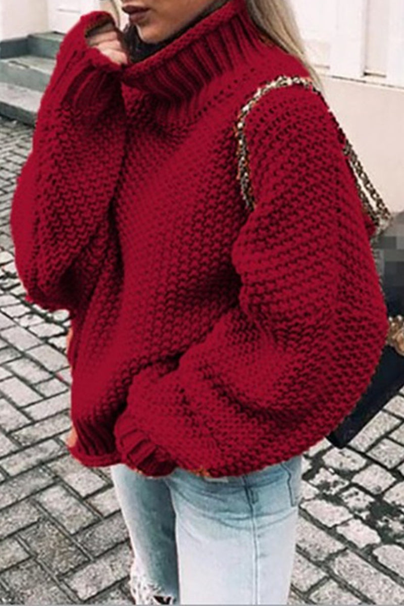TS | Cozy oversized turtle-neck sweater