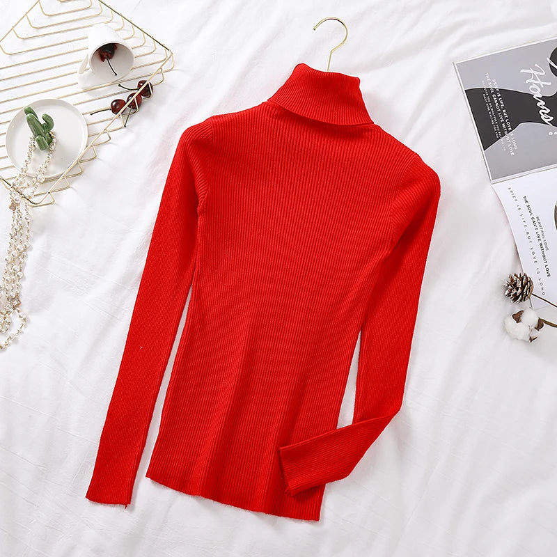 Refined and Radiant Sweater
