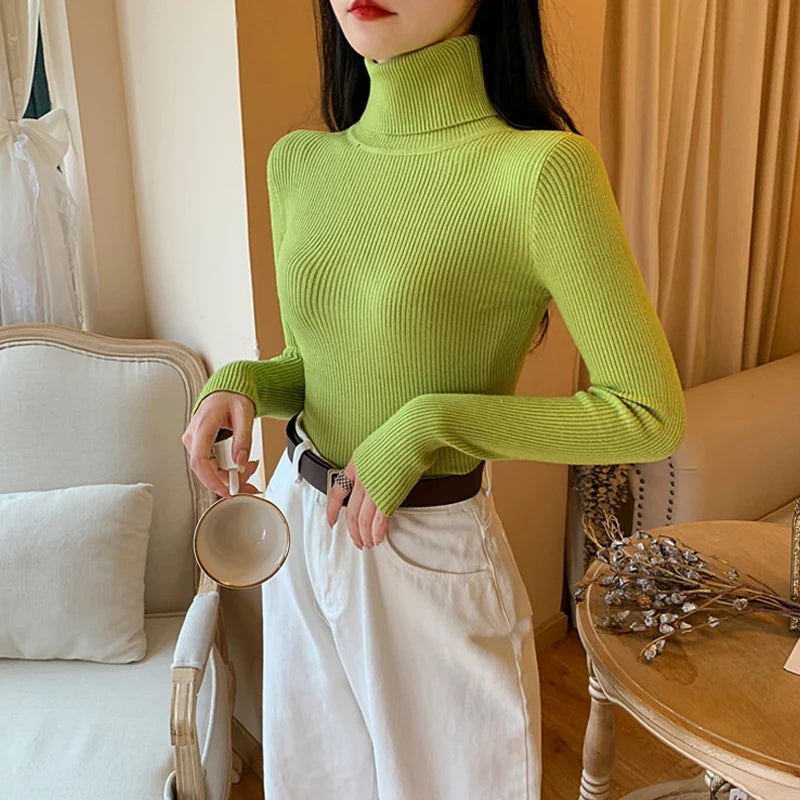 Refined and Radiant Sweater