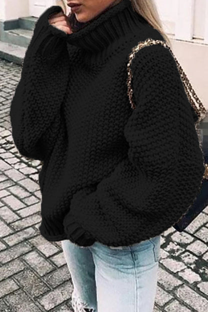TS | Cozy oversized turtle-neck sweater