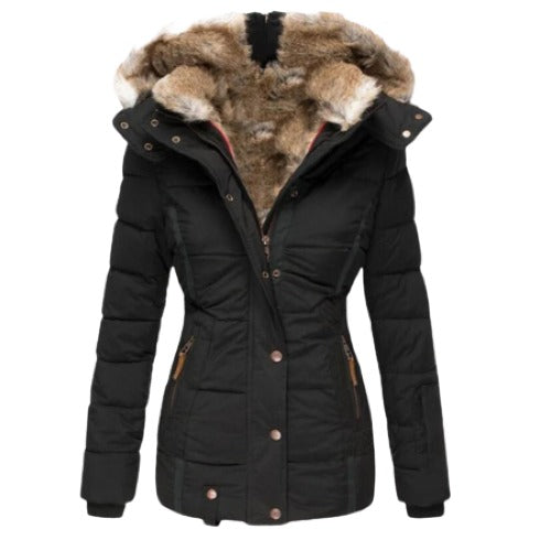 LM | Tailored and elegant general jacket