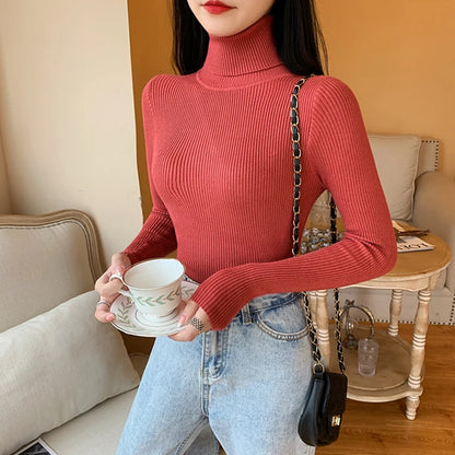 Refined and Radiant Sweater