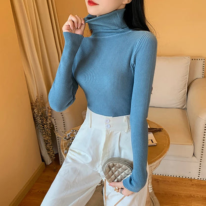 Refined and Radiant Sweater