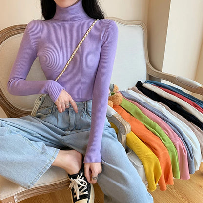 Refined and Radiant Sweater