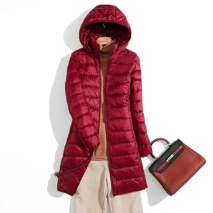 Trendy and Timeless Jacket