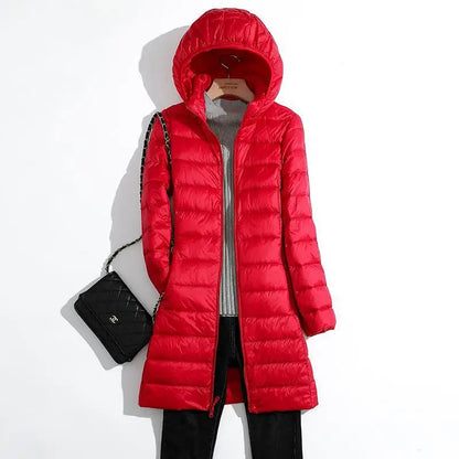 Trendy and Timeless Jacket