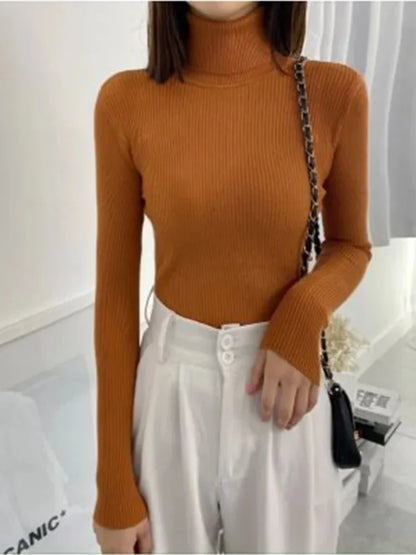 Refined and Radiant Sweater