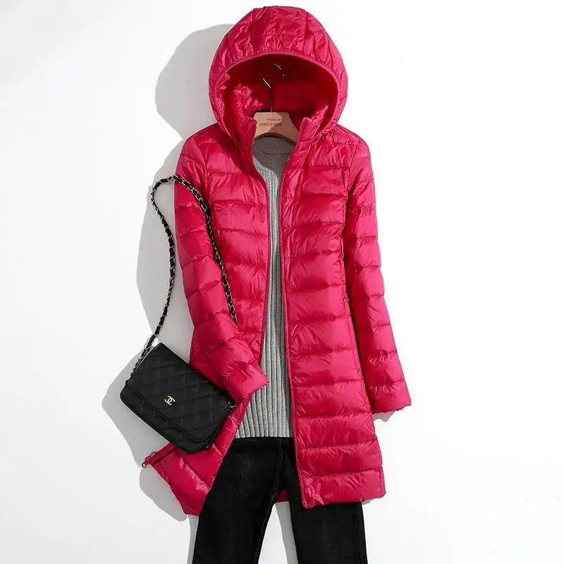Trendy and Timeless Jacket