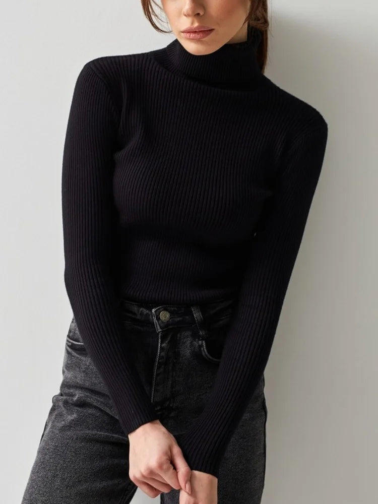 Refined and Radiant Sweater